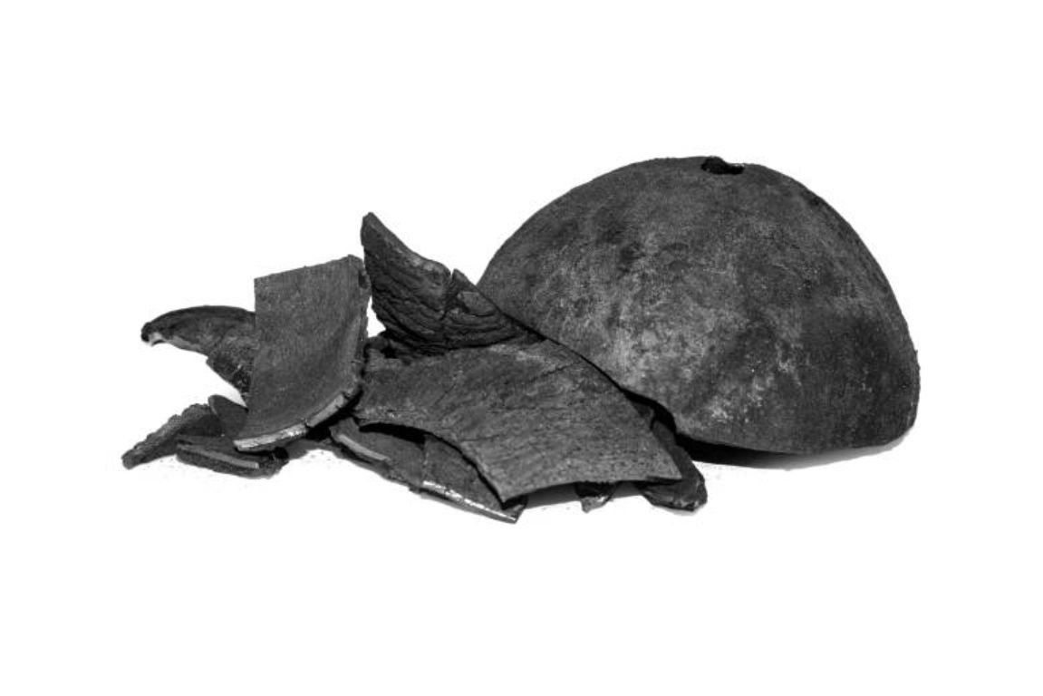 Coconut Shell Charcoal